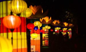 logo-hht8889-15273145607322111271081