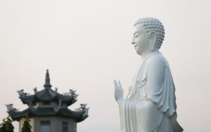 IMG-7944-1497699505_680x0